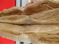 Sucuk Bağırsağı Özellikleri ve Faydaları Nelerdir? Sucuk Bağırsağı Özellikleri ve Faydaları Nelerdir?